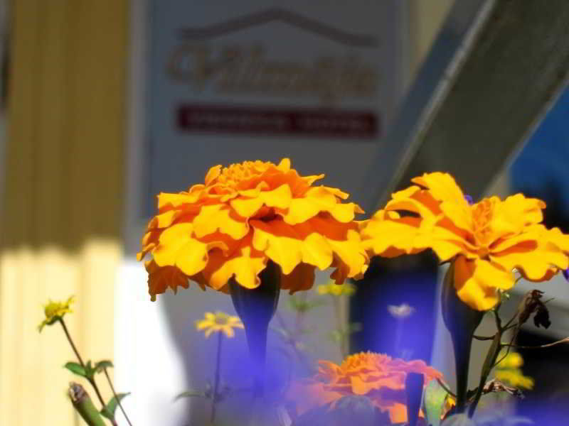 Hotel Vilmaja รีกา ภายนอก รูปภาพ